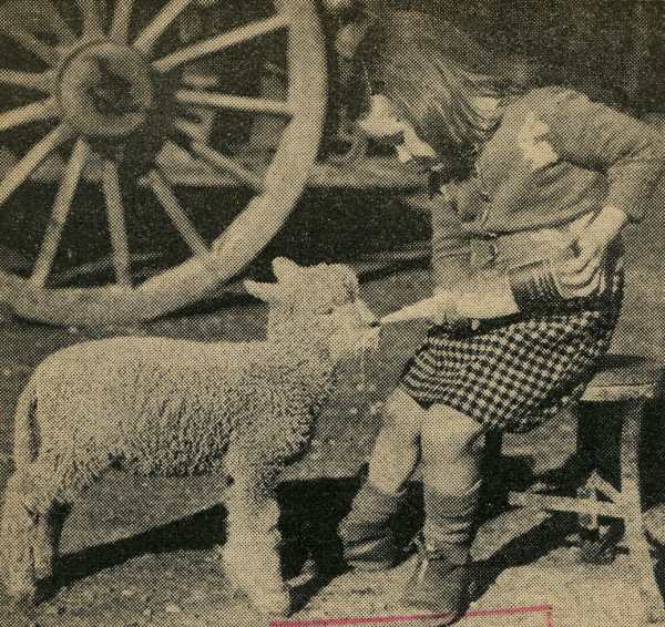 Muriel Moore feeds a lamb
